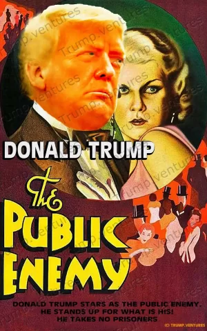 Public Enemy Movie Poster